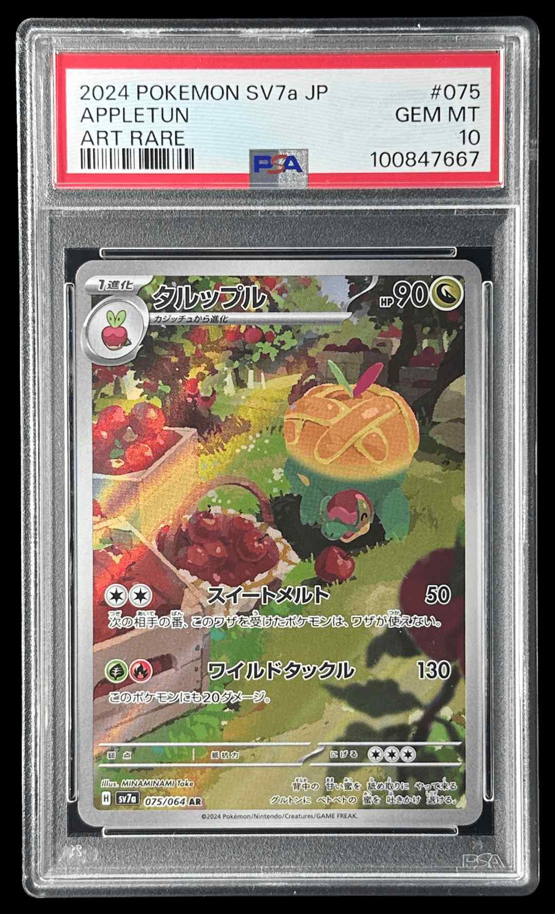 メガシンフォニアPack | TCG STORE
